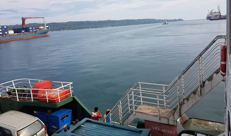 P1.19-B DAVAO-Samal bridge study at work