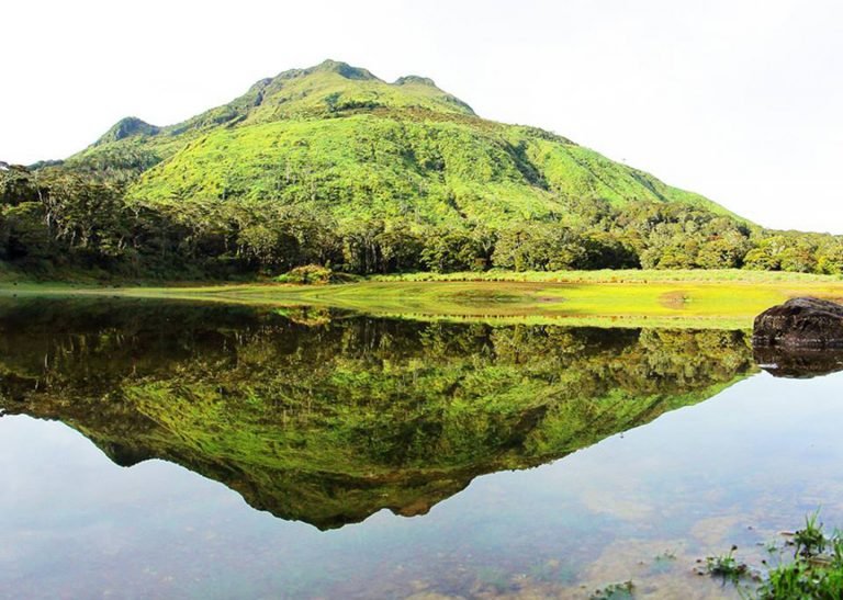 Mt. Apo