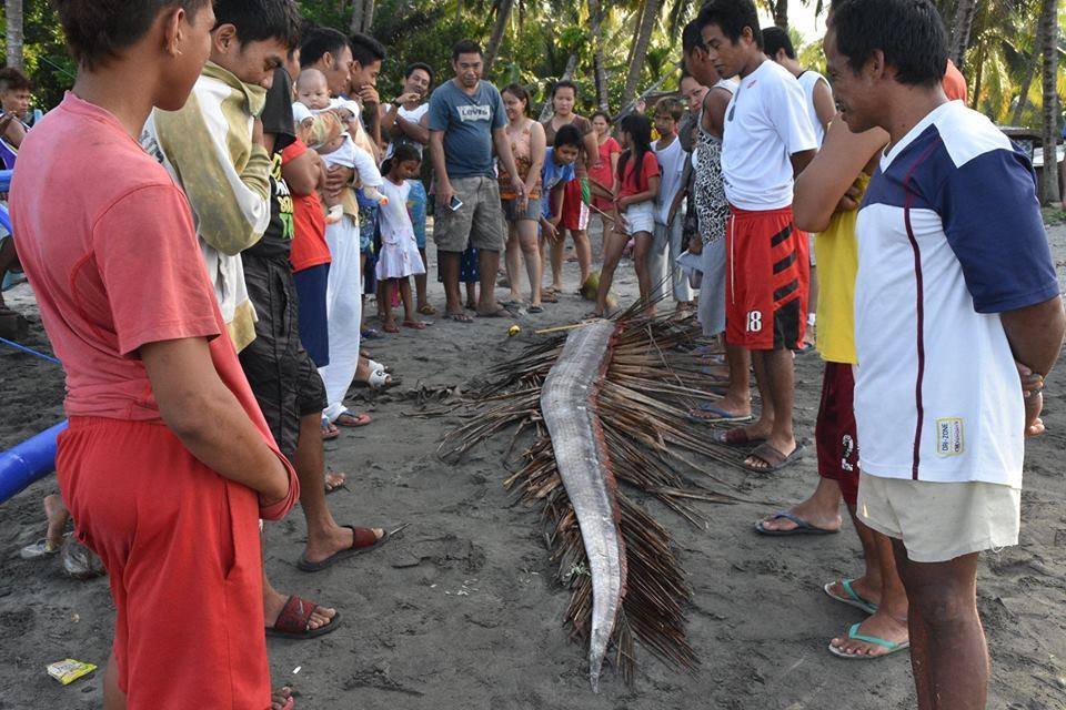 Photo courtesy of Carmelo Velasco / LGU Kiamba