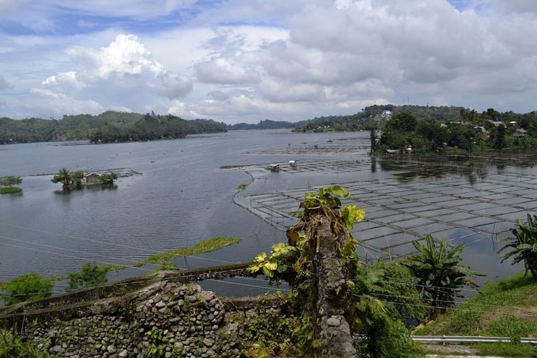 30 has. of illegal tilapia pens destroyed in Lake Sebu