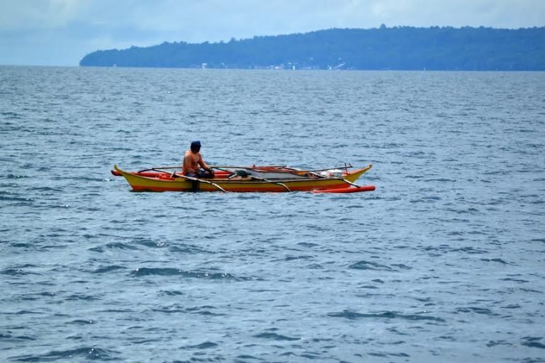Fish supply dropping?