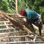 Datu Lumayong Bayontong fix cogon grass as a roofing of their traditional house at the tribal village’ inside the Magsaysay Park in Davao City. The tribal village is among the attractions of the Kadayawan Festival next month. Newsline Photo