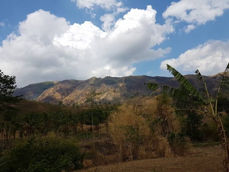 SMB to plant 70k trees this year to sustain re-greening project