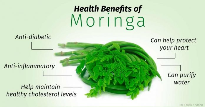 health-benefits-moringa-fb