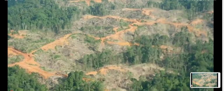 Dagkung kumpanya sa logging sa  Zamboanga gipasira ni Duterte