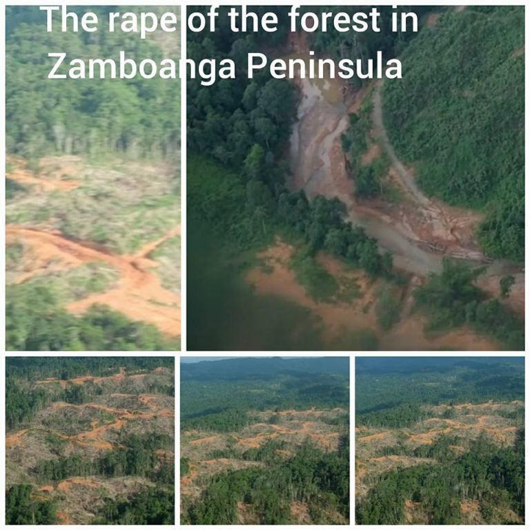 Zamboanga DENR officials relieved from posts