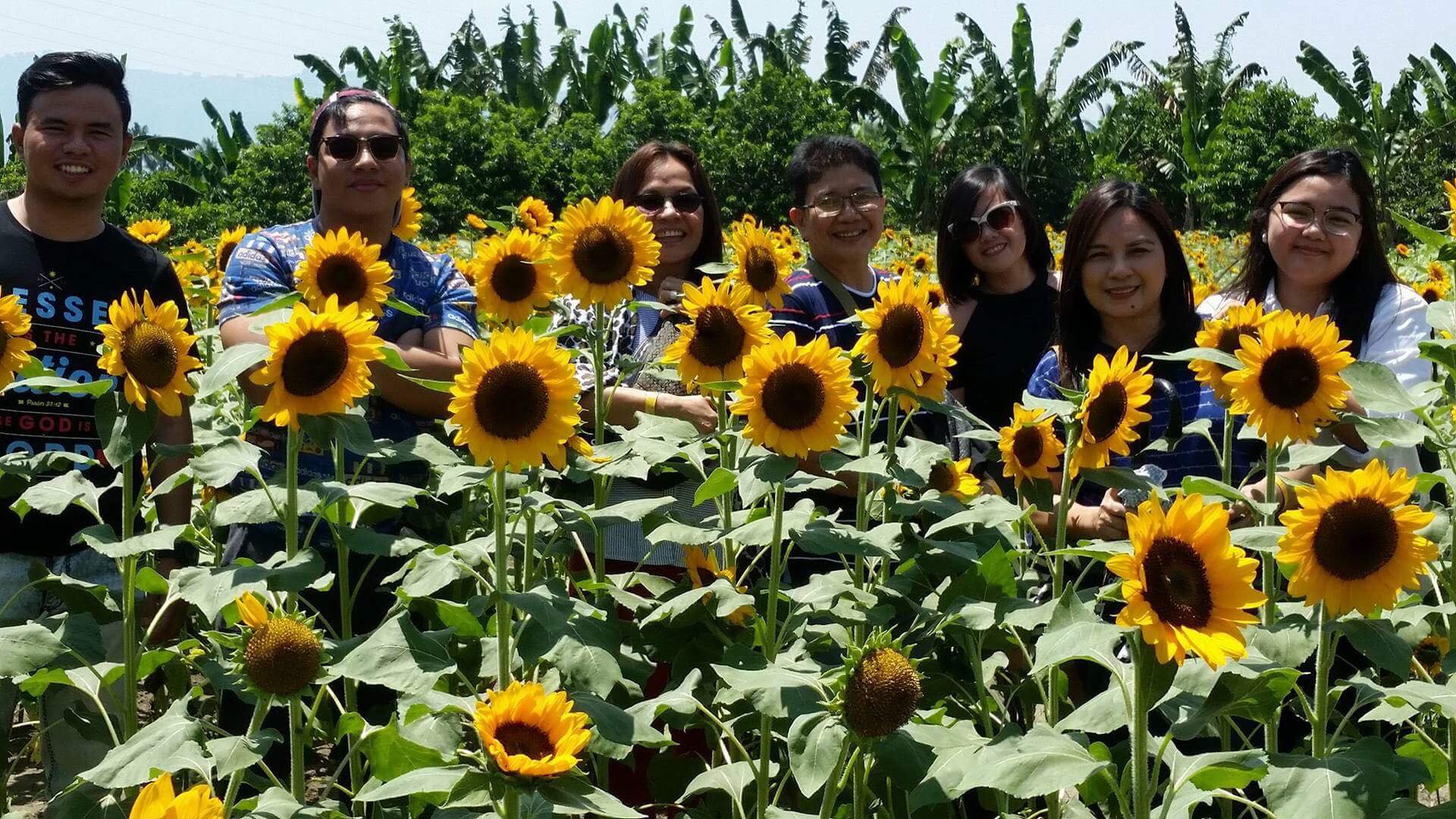 mariano's blooming agri tourism park history