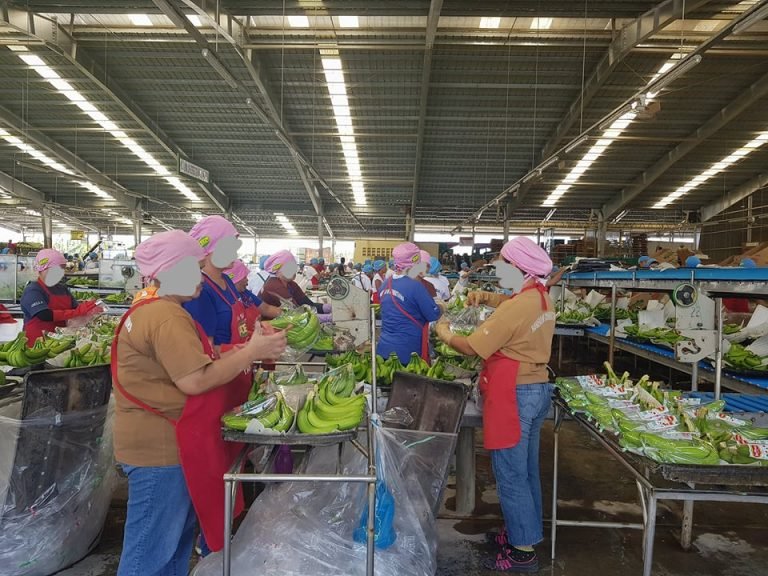 Work loss threatens DAPECOL inmates