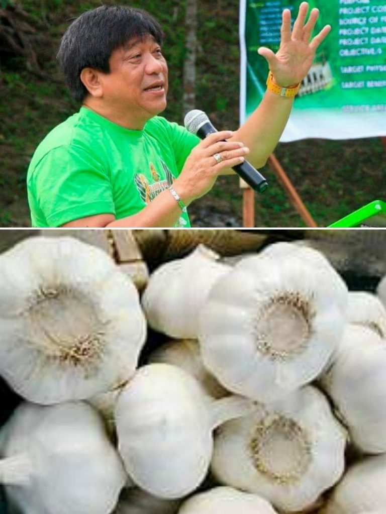 Ex-Agriculture Secretary Alcala,  23 others to face trial over garlic scam