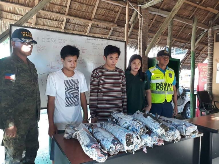 Batan-ong Hapon ug kaubang Pinoy sakpang nagdala ug P1.5-m nga marijuana