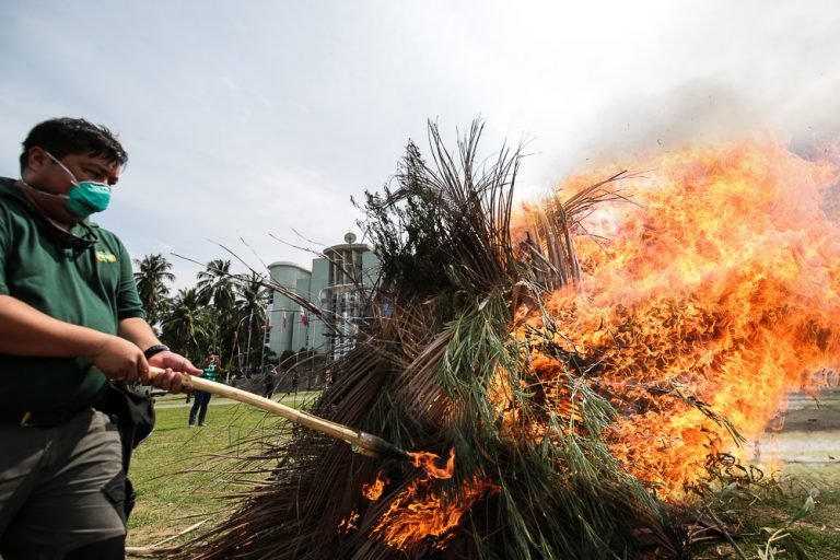 Seized Marijuana signifies victory against illegal drugs: Gov. Dayanghirang