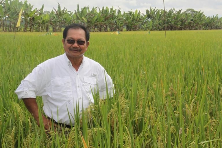 Prices of rice in Zamboanga City hits P70 per kilo