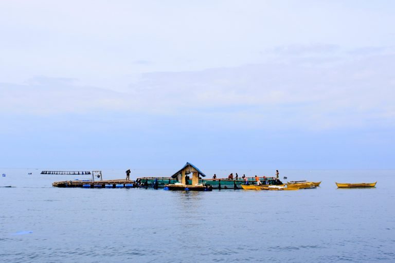 BFAR:  Just enough fish supply in Northern Mindanao