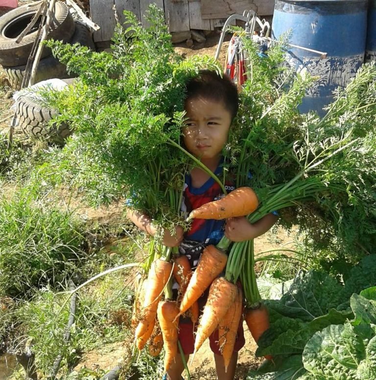 Palace proposes measures to address food inflation