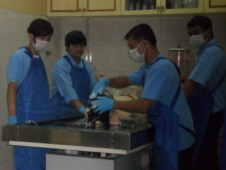 Babayeng Titser, usa usab ka lisensyadong embalmer