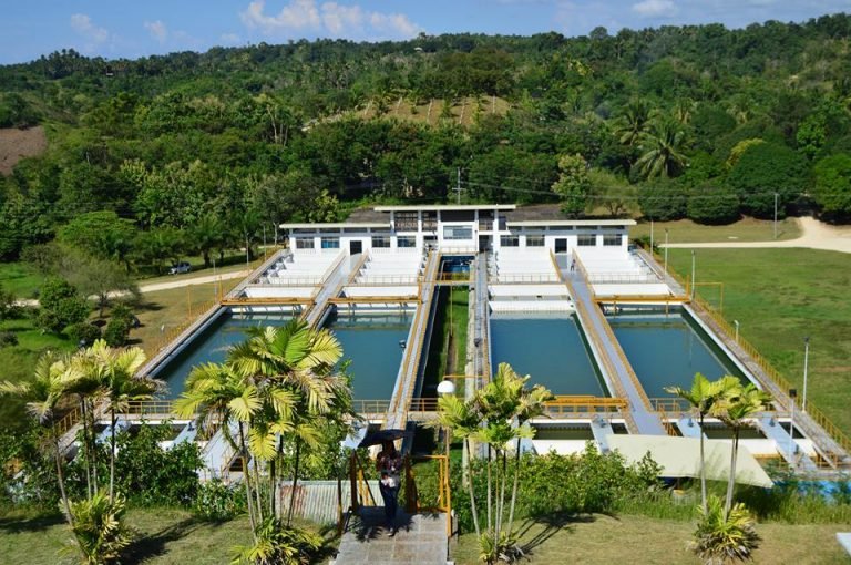 Bukidnon town increases rice farmlands due to conversion
