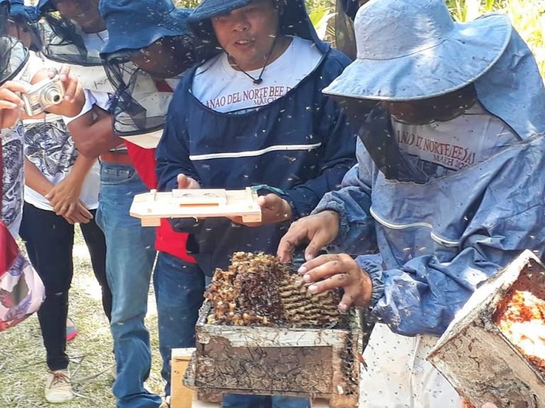 Lanao Norte eyed as top honey producer in NorMin