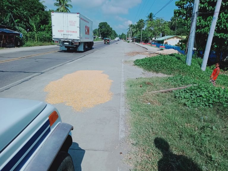 Maguindanao mayor bans use of highway for driers and domestic animals