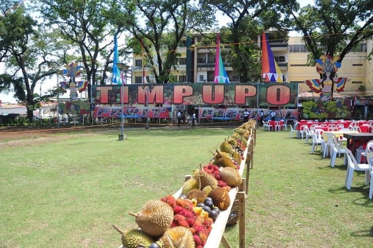 Fruits eat all you can in Kidapawan’s Timpupo fest Fruits eat all you can in Kidapawan’s Timpupo fest
