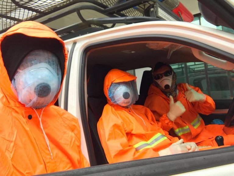 Marawi suicide squad back to work