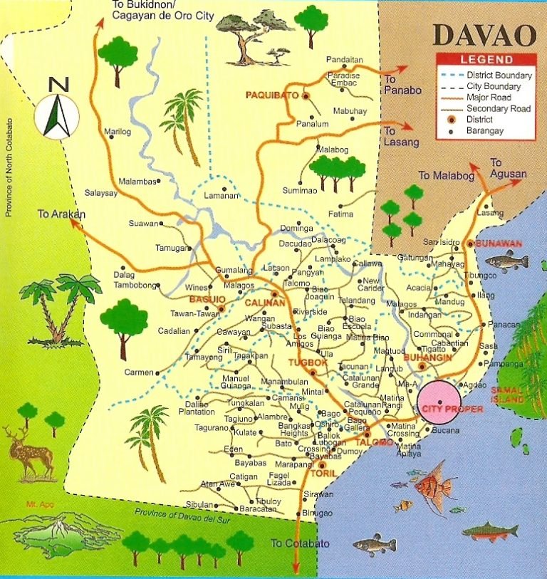 23 of Davao City’s 182 barangays have COVID-19 cases