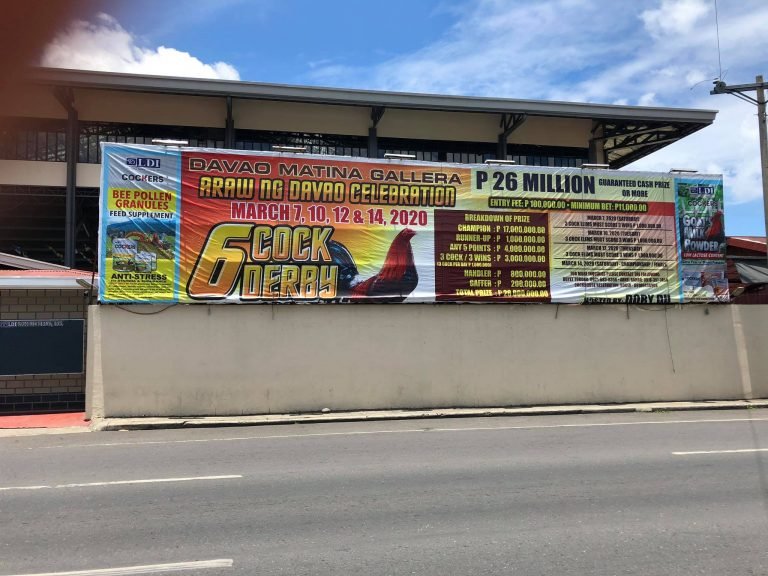 200 Matina Gallera aficionados finish 14-day quarantine in NCot