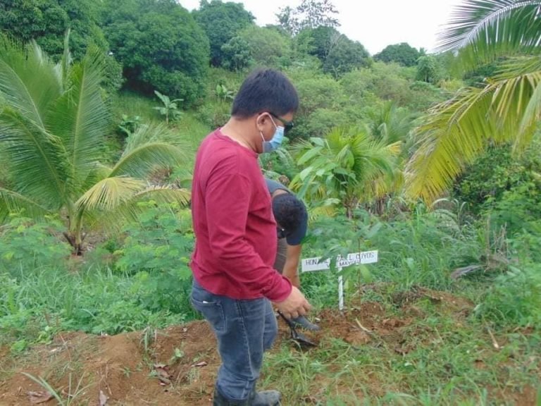 Food distribution and re-greening highlight San Isidro town anniversary