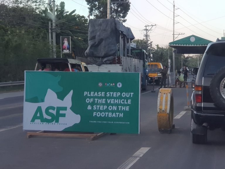 Davao City tightens entry of hogs and by-products due to ASF in Davao borders