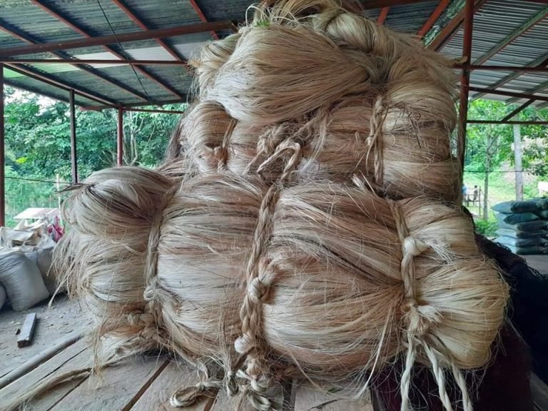 Davao IPs get P3.8-M abaca farm machinery
