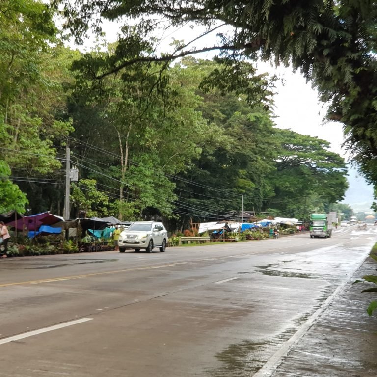 Earthquake  ‘bakwits’ sell plants to motorist  for survival amidst pandemic threat