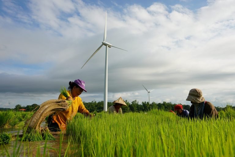BBM pledges to support rice industry growth and farmers’ welfare