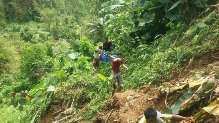 Amahan patay, 3 ka anak  angol human nahagsaan og dakong kahoy sa bukid sa Mt. Apo