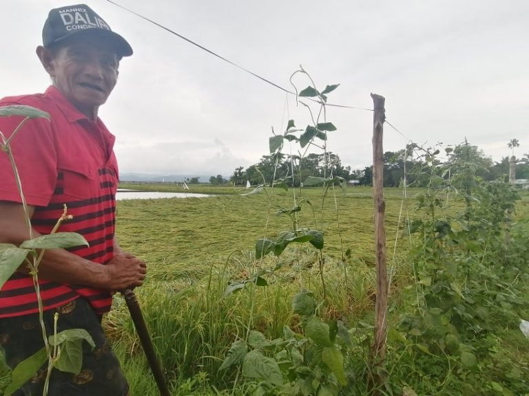 Flash floods damage P2.8-M crops in Zamboanga
