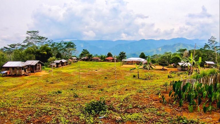 DavOr pours services to its farthest village