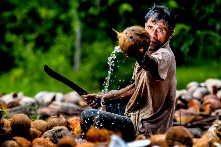 DA calls for firm support to enact “coconut trust fund “ law