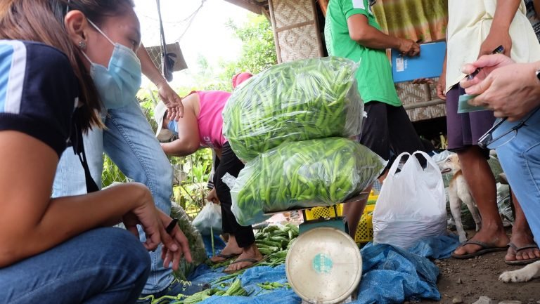 Gulay sa mga mag-uuma sa DavNor gipamalit na sa probinsya