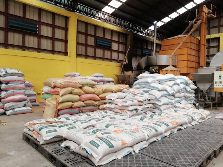 DA’s P18-M support to rice farmers in NoCot pushed farmers to dire poverty