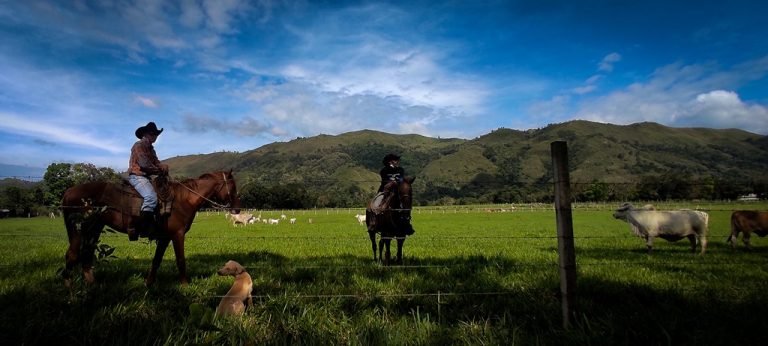 Water coop to end water woe in Bukidnon