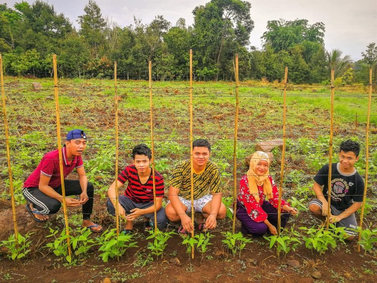 Muslim youth into agriculture