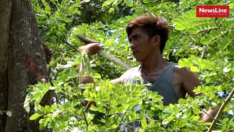 Physically challenged lad works normally to  help his family