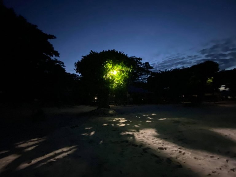 Samal plunges  in the dark, Nordeco swims in debt