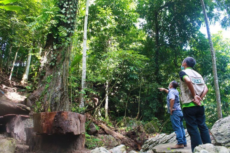 Mantunao Ecopark in Davao Oriental  opens