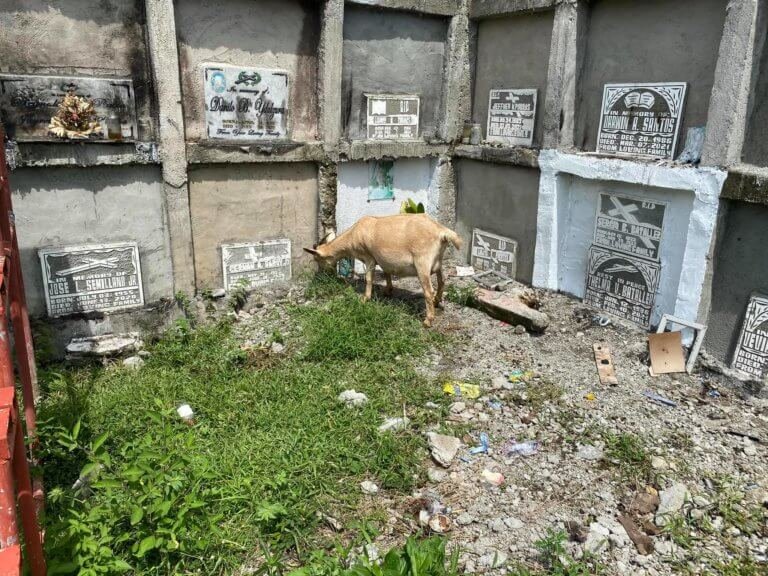 Even in death, there is socio-economic divide