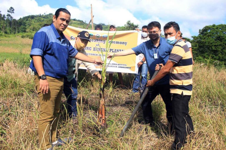 Banana plantation for Teduray farmers to rise in Maguindanao
