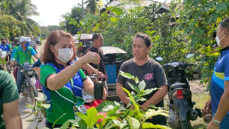 Community plants fruit  trees in vacant spaces