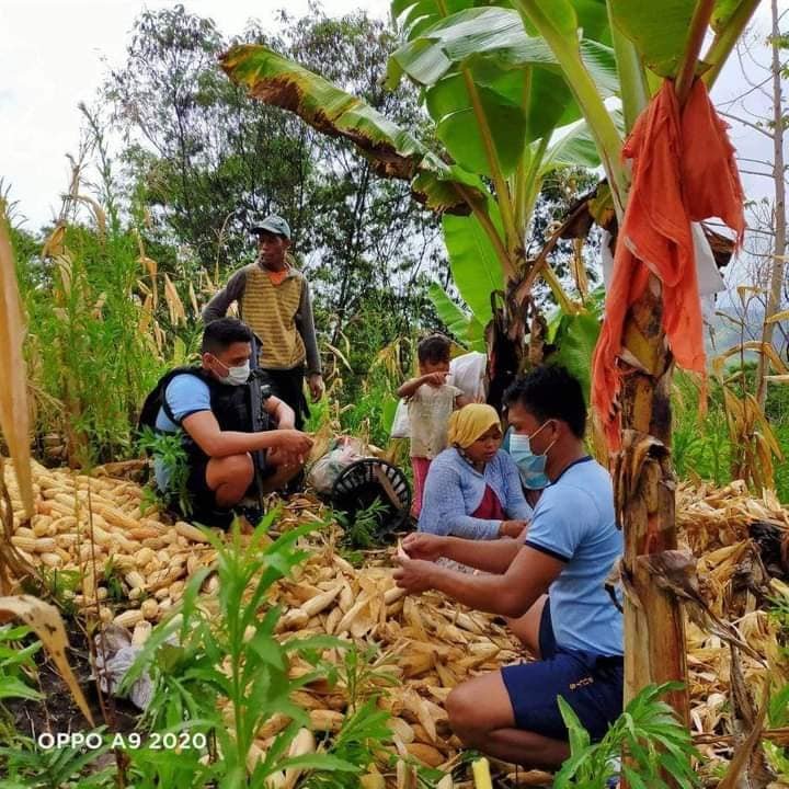 IP’s enjoy bountiful harvest  with PNP support