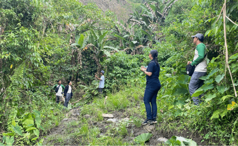 Road to 1M trees: Therma South, RAFI continues efforts to expand carbon sink
