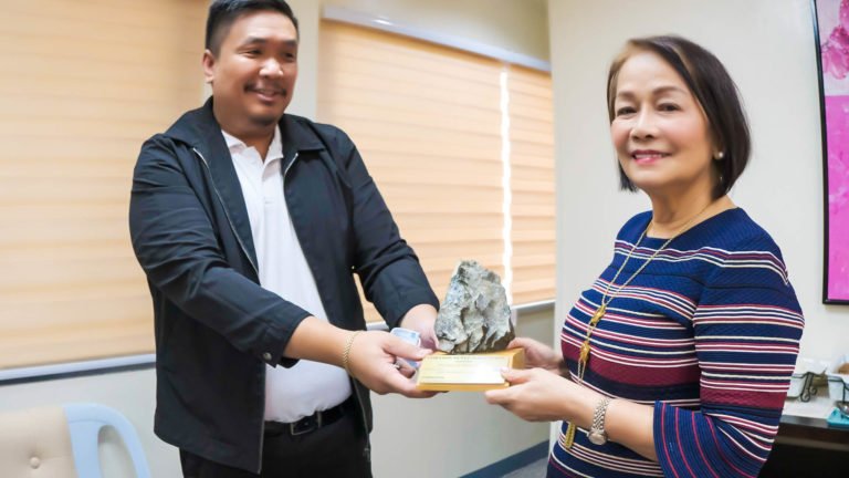 MGB  assures DavOr Governor no mining activity  in Mt. Hamiguitan