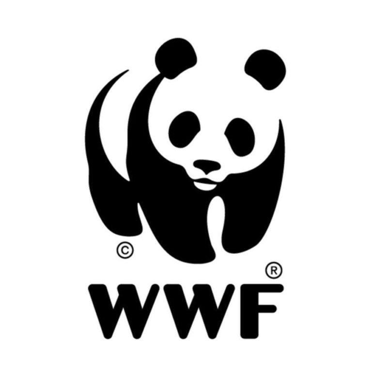 WWF-Philippines official statement on President Marcos’ first State of the Nation Address