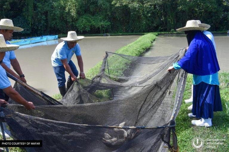 BARMM tops regions in Q2 2022 fisheries production